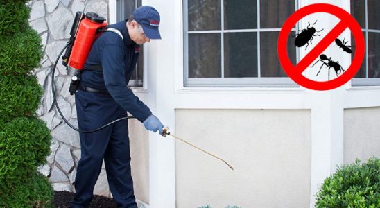 Eğirdir Kene İlaçlama böcek ilaçlama ve haşere kontrolü — ilaclama-tr.com